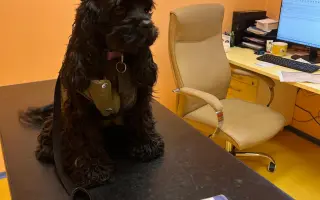 Pomohli jste Medvídkovi Pú k lepšímu zraku