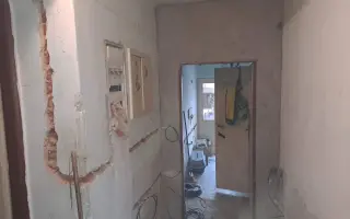 Postavme společně útulek pro kočky a psy