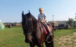 Pomozte Melcherovi prožít důstojný důchod
