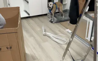 Pomoc pro Martinu a Draca po požáru domova