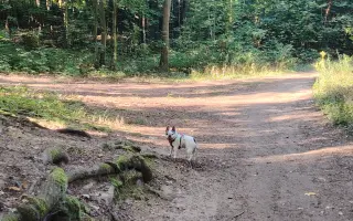 Zachráňte Marilyn bojující s rakovinou