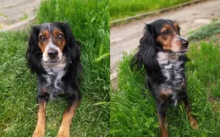 Shamy bouje s bolestí. Pomozme jí prožít stáří důstojně