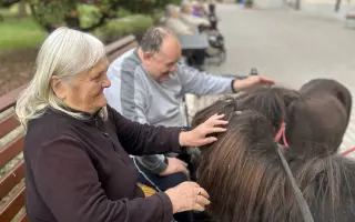 Krmení a seno pro zachráněná zvířata