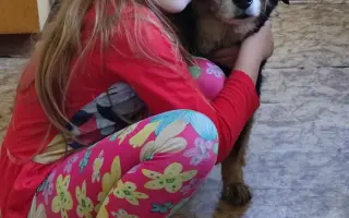 Pomoc Natálce a její mamince po tragické smrti tatínka