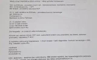 9 nalezených Lásek