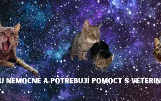 Lívanec a Dobrota potřebují léky