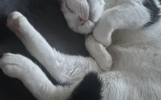 Pomozme Kryšpínovi bezbolestně chodit