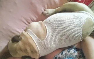❤️ Pomoc pro Pú - porazit nádorové onemocnění