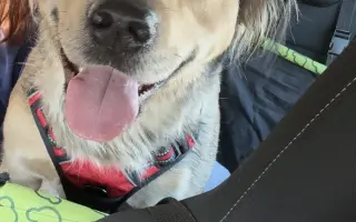 Pomozte Mii znovu vidět svět 🌸