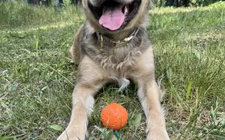 Pomozte Mii znovu vidět svět 🌸