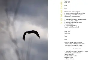 “A*la - Ze dna” … debutové album + sbírka poezie a fotografií Alice Boleloucké