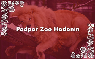 Podpořte zvířata ze Zoo Hodonín