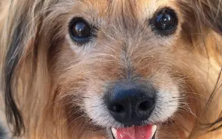 8 nalezených Lásek