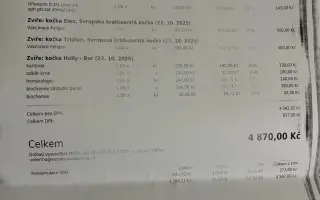 Pomoc kočkám dochází nám zásoby krmení