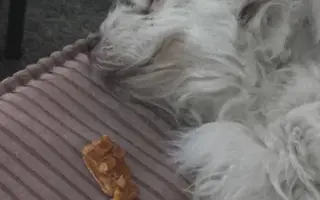 Pomoc pro Enny