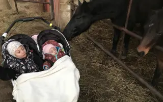 Pomůžeme Kačence a Irjikovi s pořízením nového auta