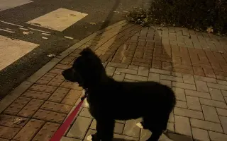 Pomoc pro malinkou Meggie