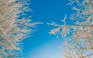 Pomůžeme Kačence a Irjikovi s pořízením nového auta