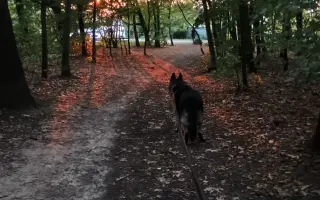 Pomoc Furině v boji s lupusem (SLE)