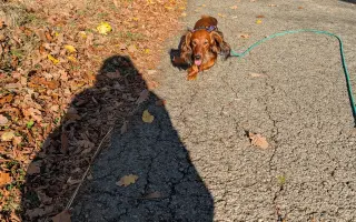 ...aby Ellie zase skákala přes kaluže ...aby Ellie zase skákala přes kaluže