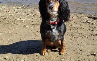 Shamy bouje s bolestí. Pomozme jí prožít stáří důstojně