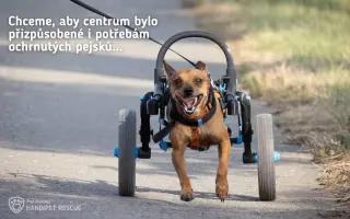 Každá kapka má smysl! Přiveďte vodu do centra pro handicapovaná zvířata