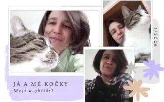 Když chybí pocit bezpečí a jistoty, z psychiatrie se dostává těžko