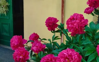 Podpořili jste růst školy Pivoňka