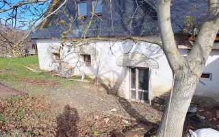 Postavme společně útulek pro kočky a psy