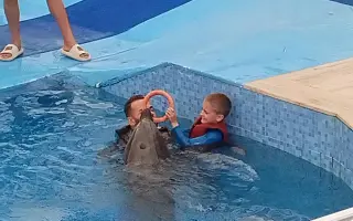 Delfinoterapie pro Teuška