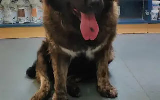 Kotce pro dočasné péče našich svěřenců 🐾