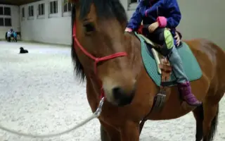 Prosím, pomozte Kačence ulehčit cestu životem