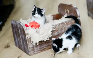 Jeden prostor navíc, stovky šancí na život