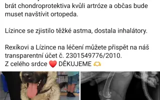 Nové tlapky pro Rexíka