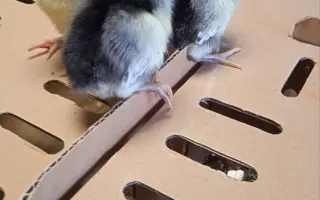 Pomozme společně obnovit zničenou farmu a živobytí farmáře Vládi!