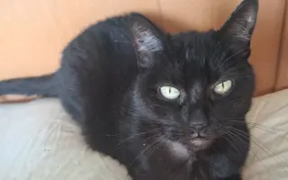 Úžasná Rozinka, která celý život pomáhala, nyní sama potřebuje pomoc