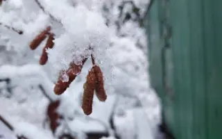 Kapela LakyMari v albu "Kind (of) mind" dává hlas zvířatům, podpořte jeho vznik.