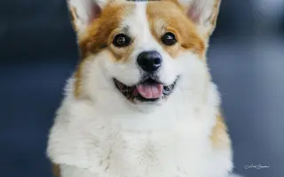 Pomozme Aloiskovi znovu chodit