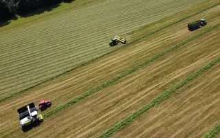 Myslivec s termovizí: Zachraňme srnčata před sekačkami a pomozme farmářům