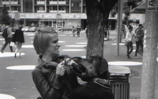 Bowie, pes, co si zaslouží péči
