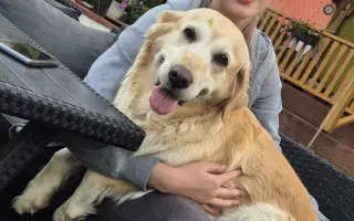 Za každé další ráno s Daisy 🐾