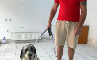 100 kastrací. Tisíce psů, kteří se nikdy nemusí narodit do utrpení