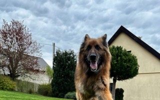 Šance pro Roxy