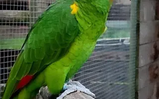 Společně ❤️ pro zvířata i v roce 2026