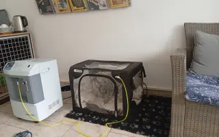 Pomoc pro Silvu Ferkovou a jejího pejska, který naštěstí požár přežil.