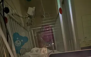 PODPOŘTE KNÍŽKU O DELFÍNOVI, KTERÁ JEDNU MÁMU ZACHRÁNILA Z HLUBIN