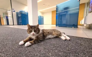 Podpořte vydání unikání knihy MODŘANSKÝ MIKEŠ