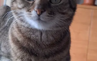 9 nalezených Lásek