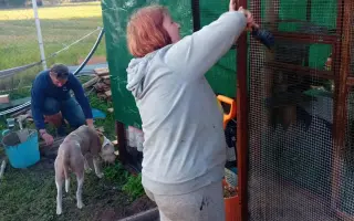 Pomozte nám dokončit kočičí útulek v Číčové
