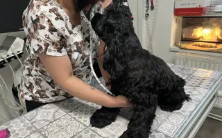 Operace očí  a veterina pro Medvídka Pú 🩷